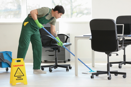 Professional Cleaning Services